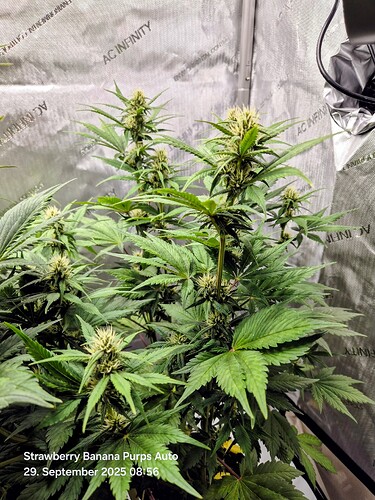 Growreport Bild 14