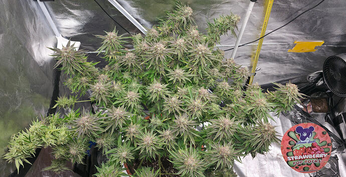 Growreport Bild 12