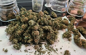 Growreport Bild 147