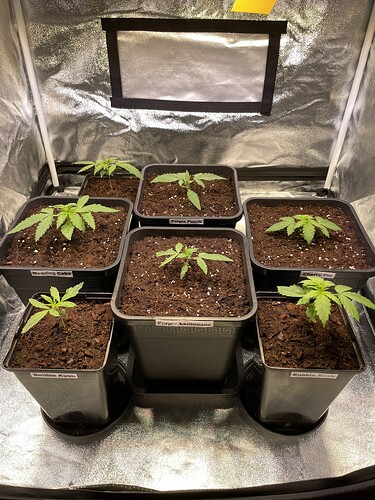 Growreport Bild 15