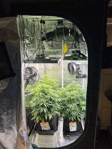 Growreport Bild 4