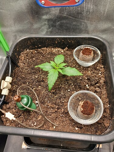 Growreport Bild 2