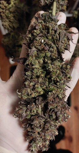 Growreport Bild 10