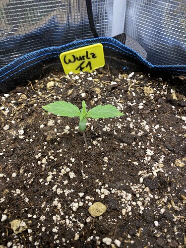 Growreport Bild 17