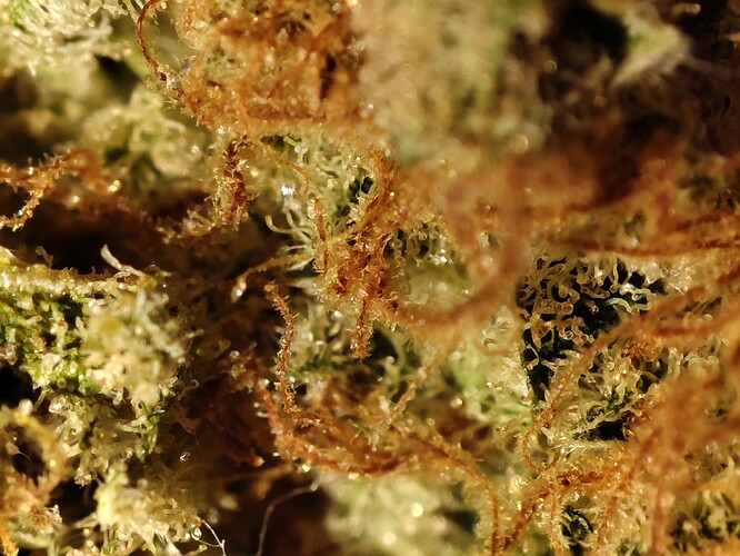 Growreport Bild 16