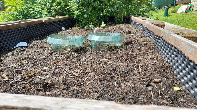 Growreport Bild 17