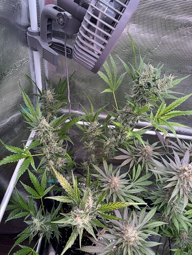 Growreport Bild 9
