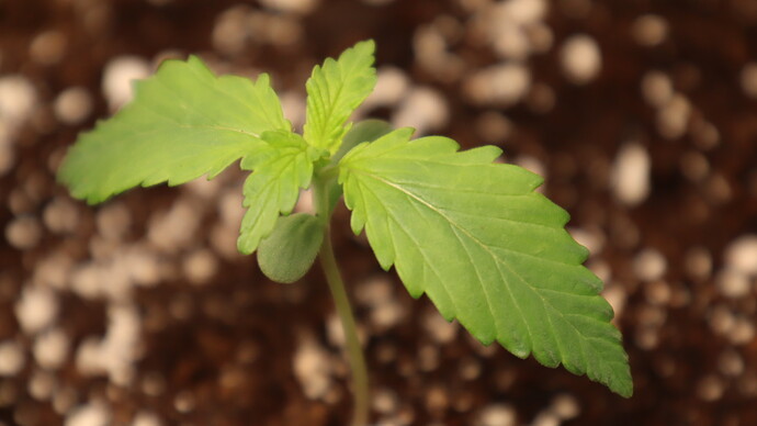 Growreport Bild 23