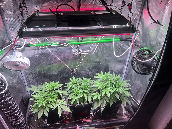 Growreport Bild 9