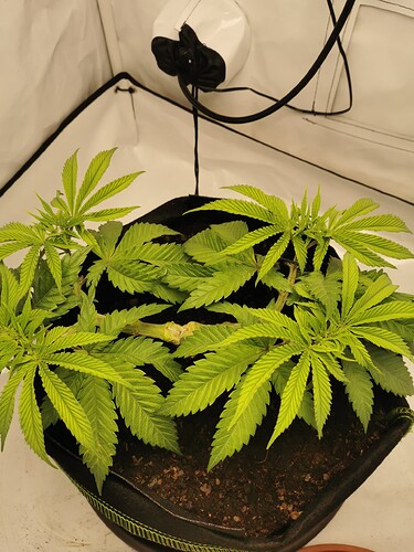 Growreport Bild 23