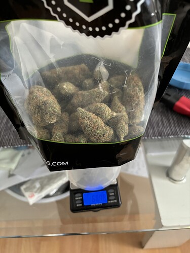 Growreport Bild 42