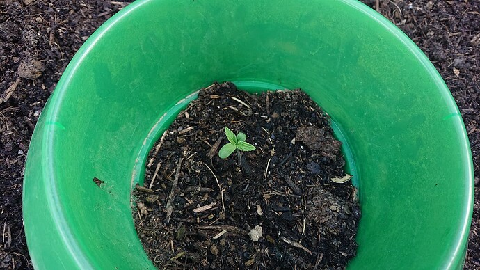 Growreport Bild 9