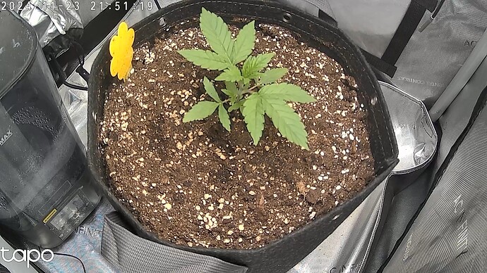 Growreport Bild 3