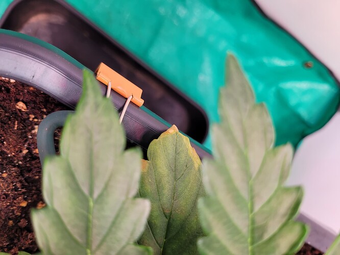 Growreport Bild 5