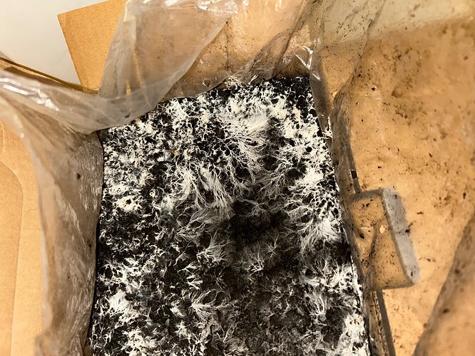 Growreport Bild 2