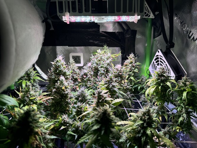 Growreport Bild 1