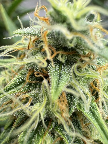 Growreport Bild 24