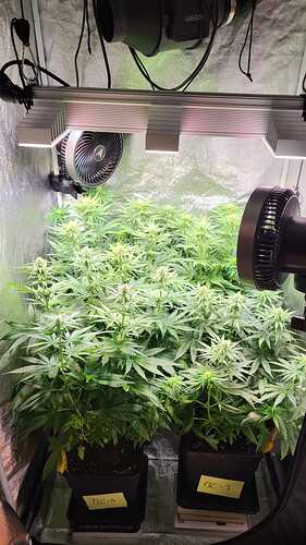 Growreport Bild 1