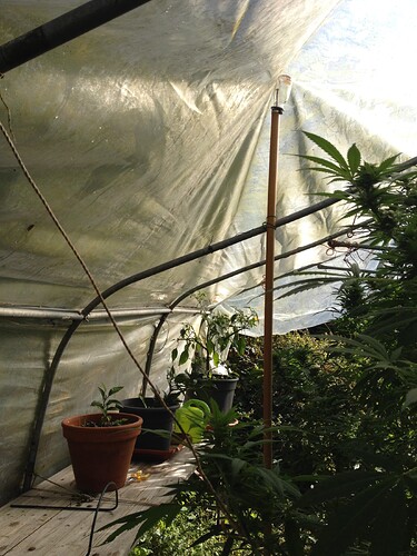 Grow25_1013b_09