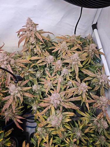 MVIMG_20251128_151126