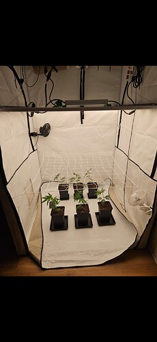 Growreport Bild 1