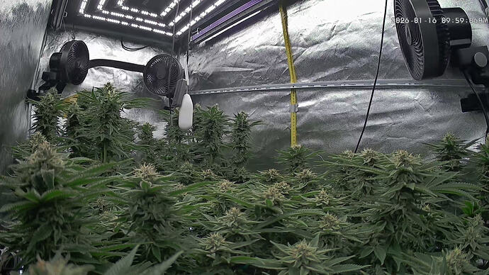 Growreport Bild 28