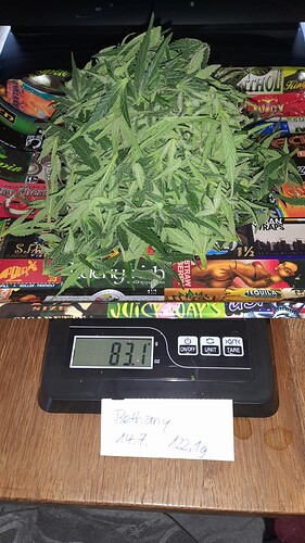 Growreport Bild 19