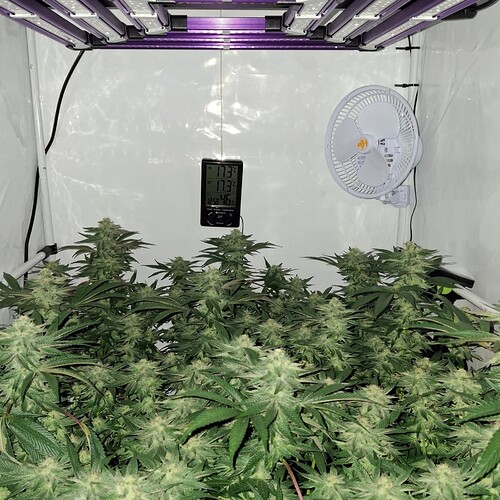 475763987_122166828944293599_5072356552252055619_n