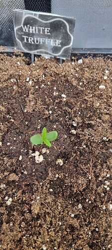 WhatsApp Image 2025-11-24 at 14.52.50 (3)