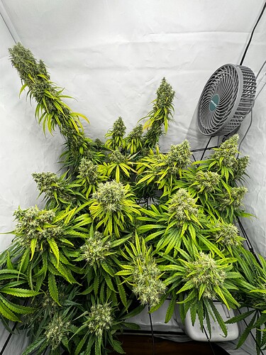Growreport Bild 2