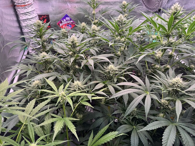 Growreport Bild 4