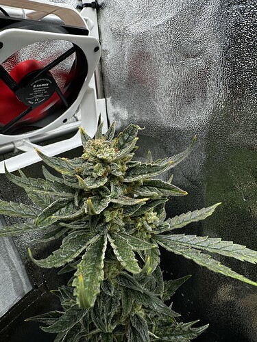 20240609_101953697_iOS