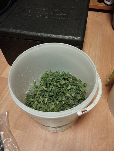 DCIM_Camera_IMG_20241105_205309 - Kopie