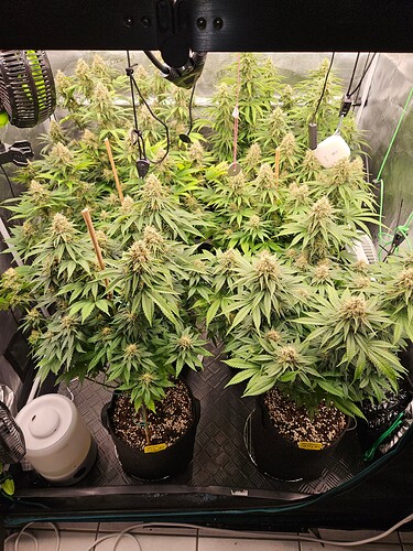 Growreport Bild 22