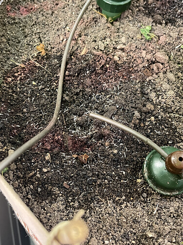 Growreport Bild 7