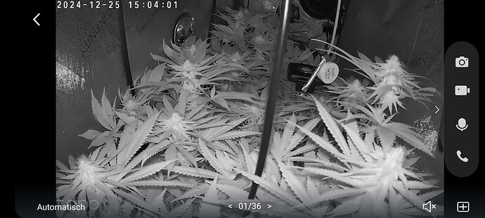 Growreport Bild 30