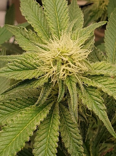 Growreport Bild 2