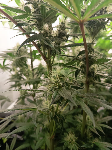 Growreport Bild 26