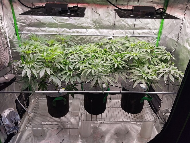 Growreport Bild 9