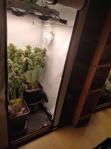 Growreport Bild 35