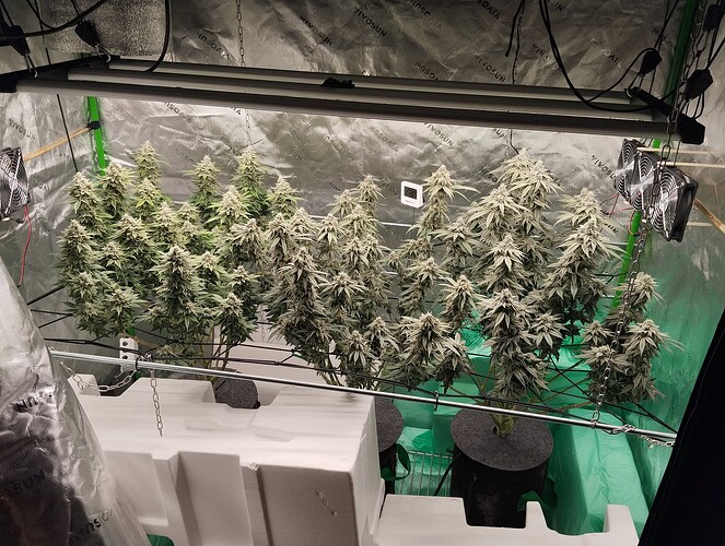 Growreport Bild 1
