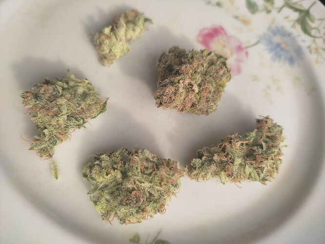 Growreport Bild 11