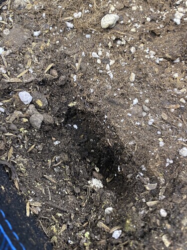 Growreport Bild 10