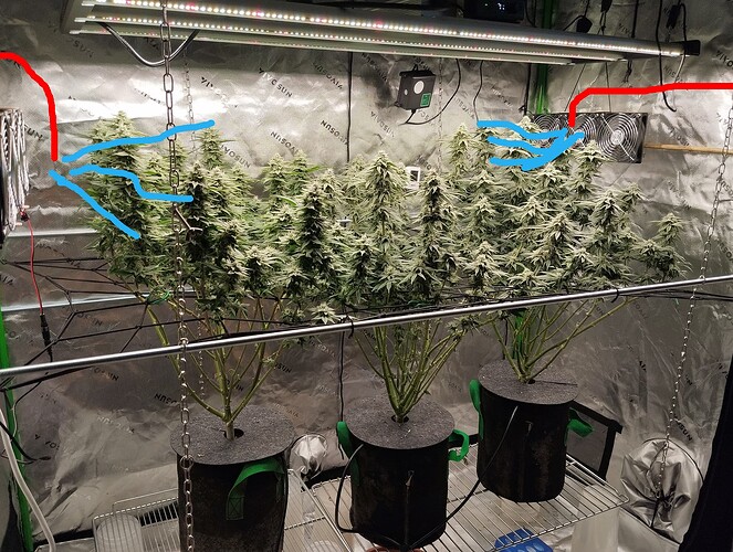 IMG_20250711_172512 - Kopie