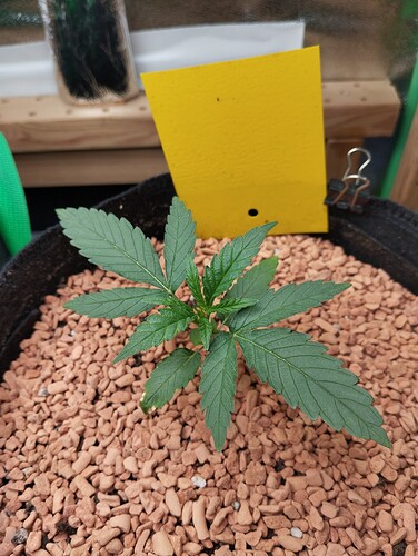 Growreport Bild 22