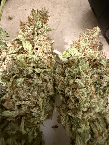 Growreport Bild 12