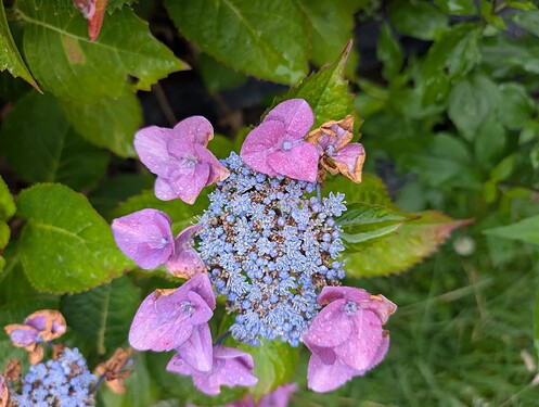 Growreport Bild 21