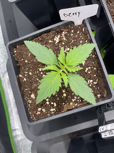 Growreport Bild 7
