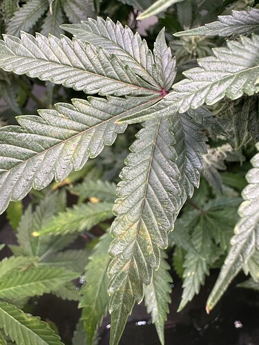 Growreport Bild 11