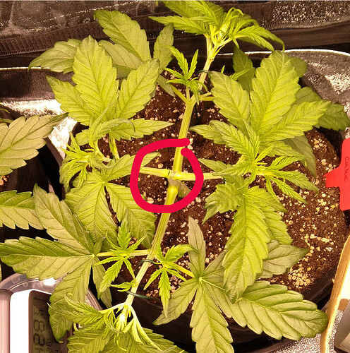 Growreport Bild 3